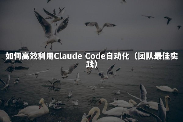 如何高效利用Claude Code自动化（团队最佳实践）