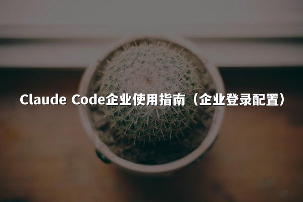 Claude Code企业使用指南（企业登录配置）