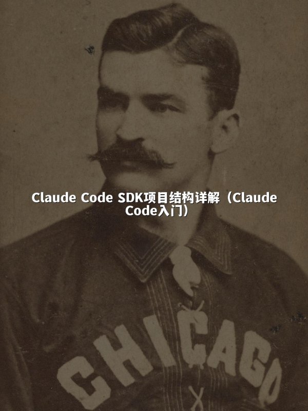 Claude Code SDK项目结构详解（Claude Code入门）