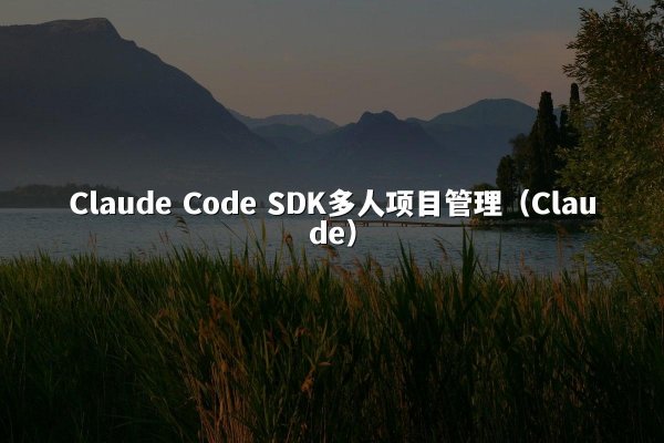 Claude Code SDK多人项目管理（Claude）