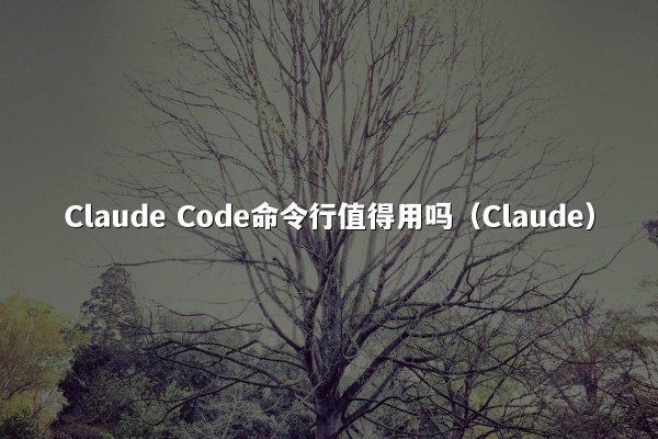 Claude Code命令行值得用吗（Claude）