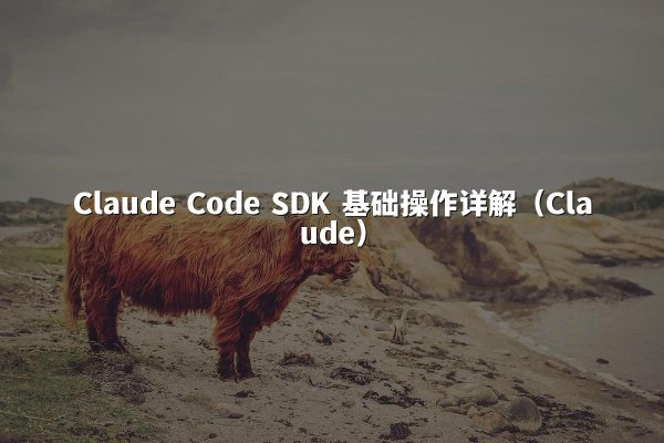 Claude Code SDK 基础操作详解（Claude）