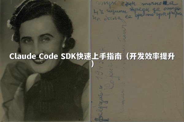Claude Code SDK快速上手指南（开发效率提升）