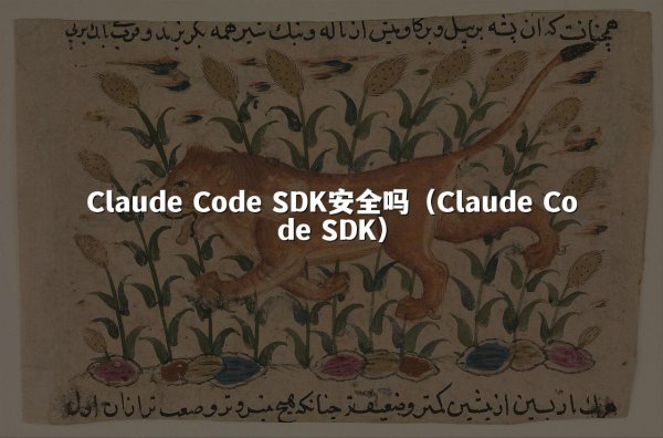 Claude Code SDK安全吗（Claude Code SDK）