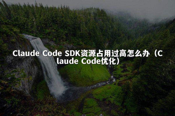 Claude Code SDK资源占用过高怎么办（Claude Code优化）
