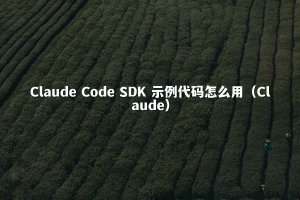 Claude Code SDK 示例代码怎么用（Claude）
