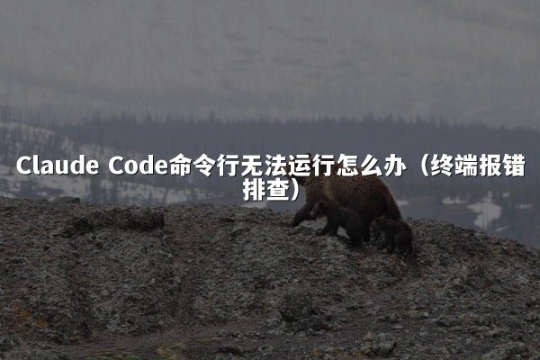 Claude Code命令行无法运行怎么办（终端报错排查）