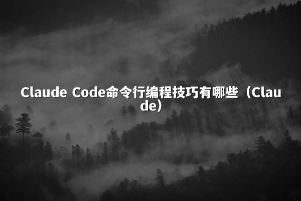 Claude Code命令行编程技巧有哪些（Claude）