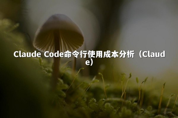 Claude Code命令行使用成本分析（Claude）