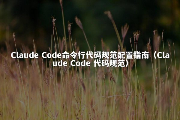 Claude Code命令行代码规范配置指南（Claude Code 代码规范）