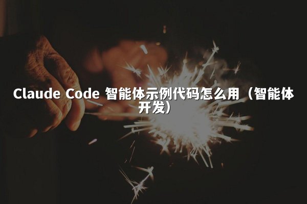 Claude Code 智能体示例代码怎么用（智能体开发）