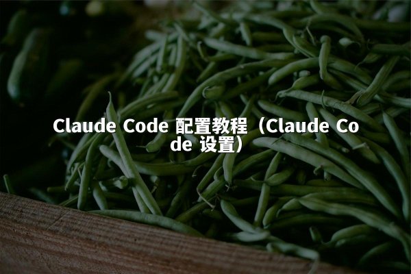 Claude Code 配置教程（Claude Code 设置）
