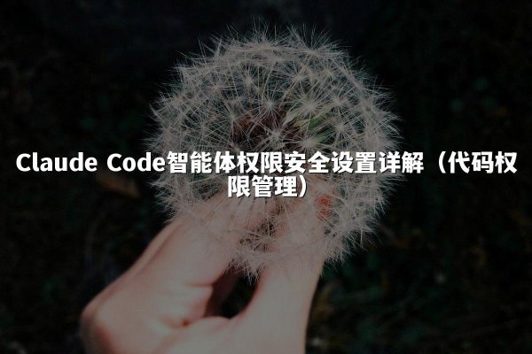 Claude Code智能体权限安全设置详解（代码权限管理）