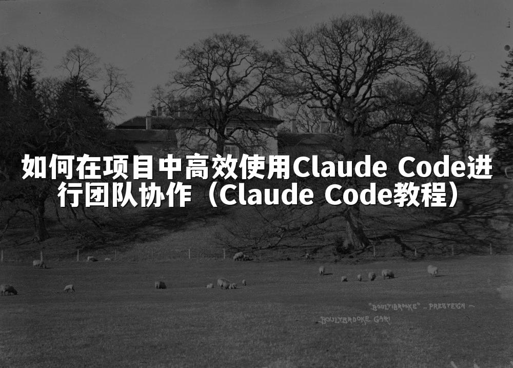 如何在项目中高效使用Claude Code进行团队协作(Claude Code教程)