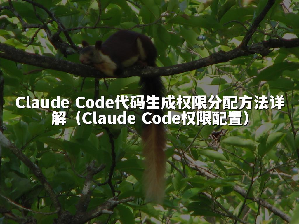 Claude Code代码生成权限分配方法详解(Claude Code权限配置)