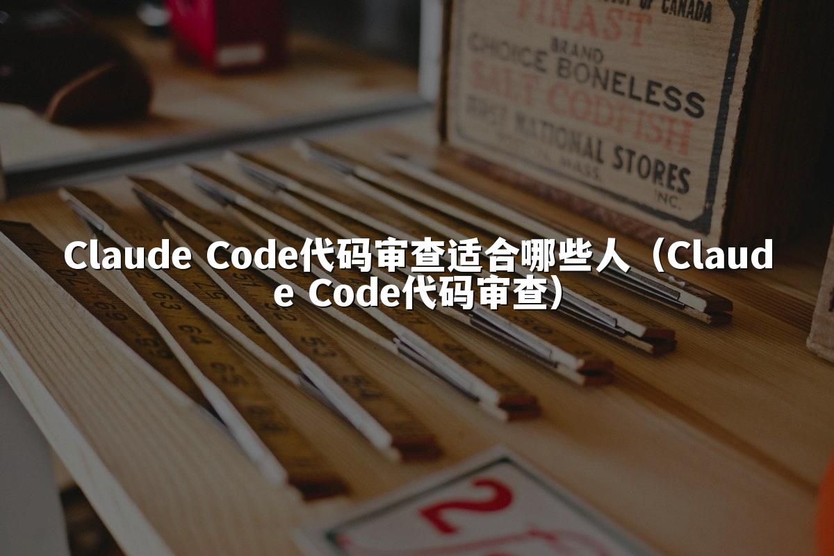 Claude Code代码审查适合哪些人(Claude Code代码审查)