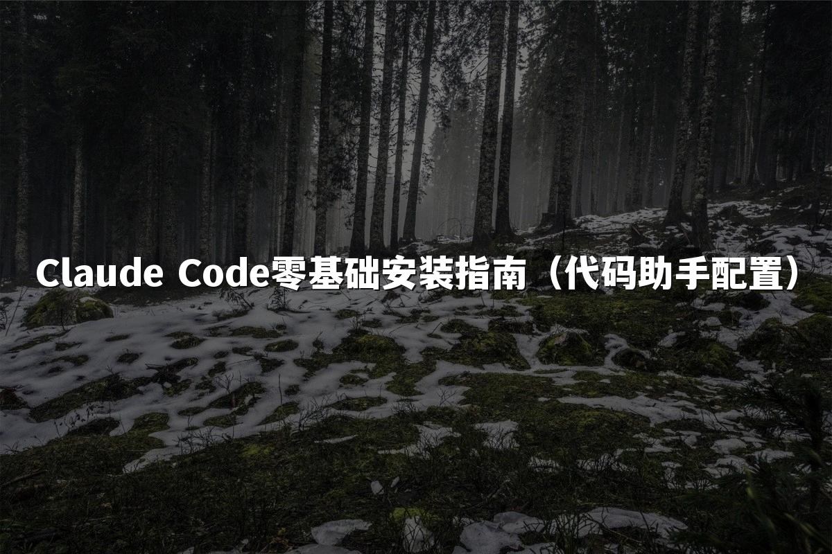 Claude Code零基础安装指南(代码助手配置)