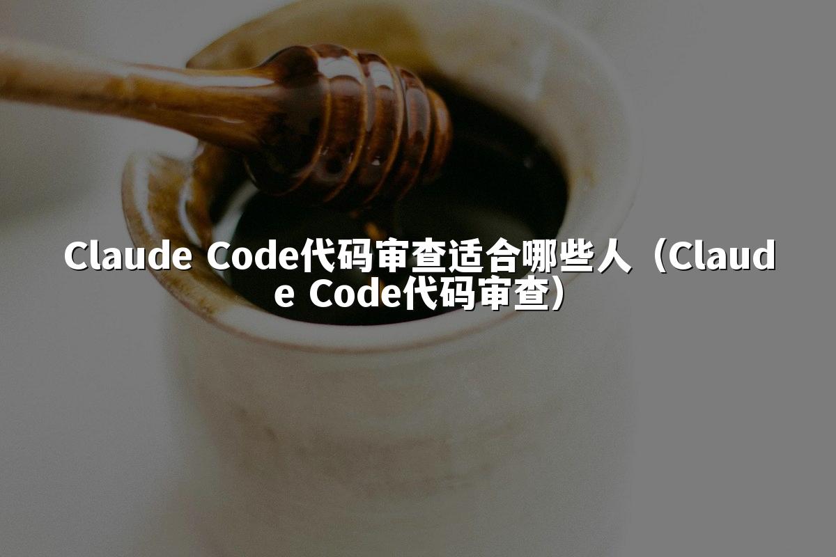 Claude Code代码审查适合哪些人(Claude Code代码审查)