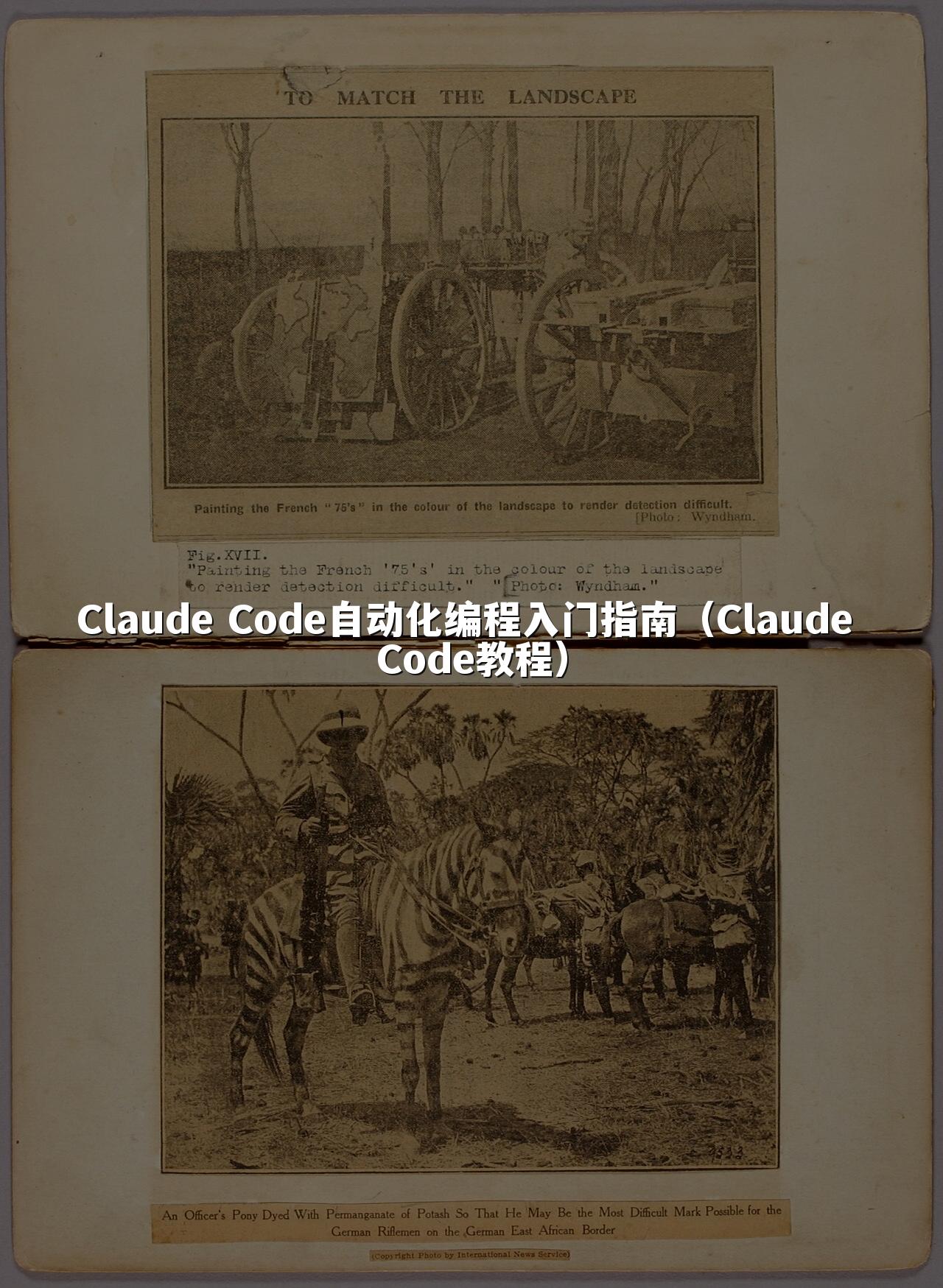 Claude Code自动化编程入门指南(Claude Code教程)