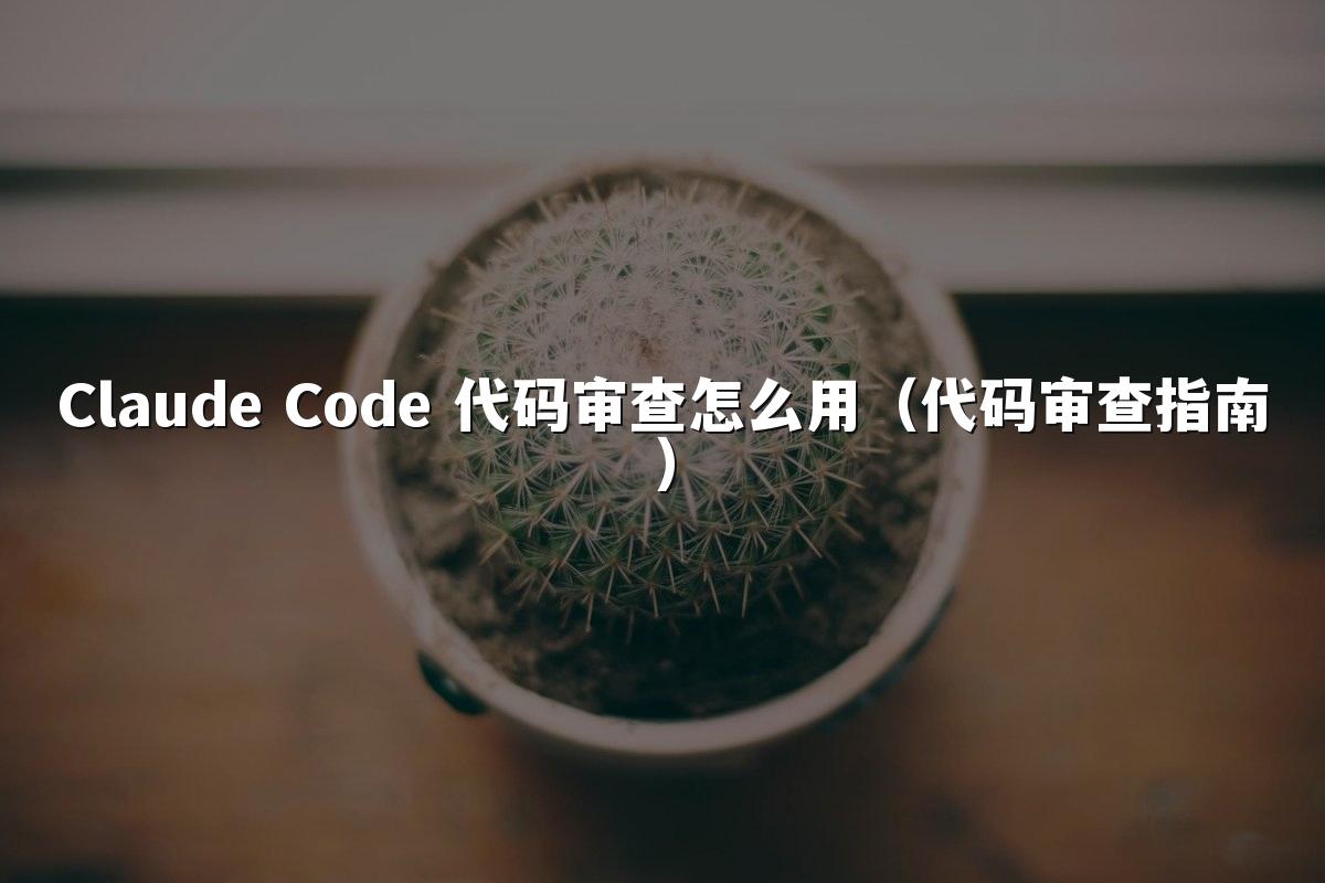 Claude Code 代码审查怎么用（代码审查指南）