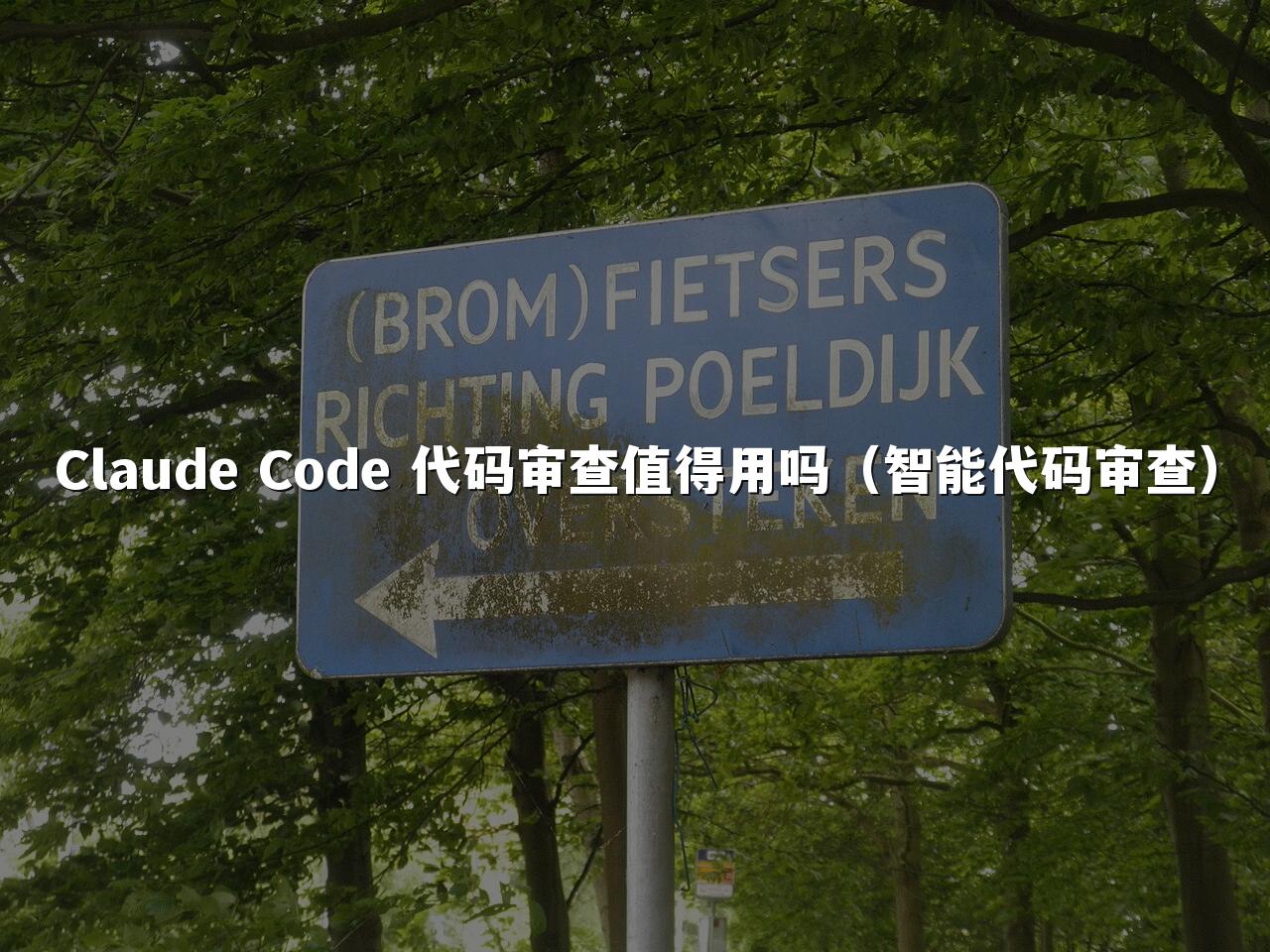 Claude Code 代码审查值得用吗(智能代码审查)