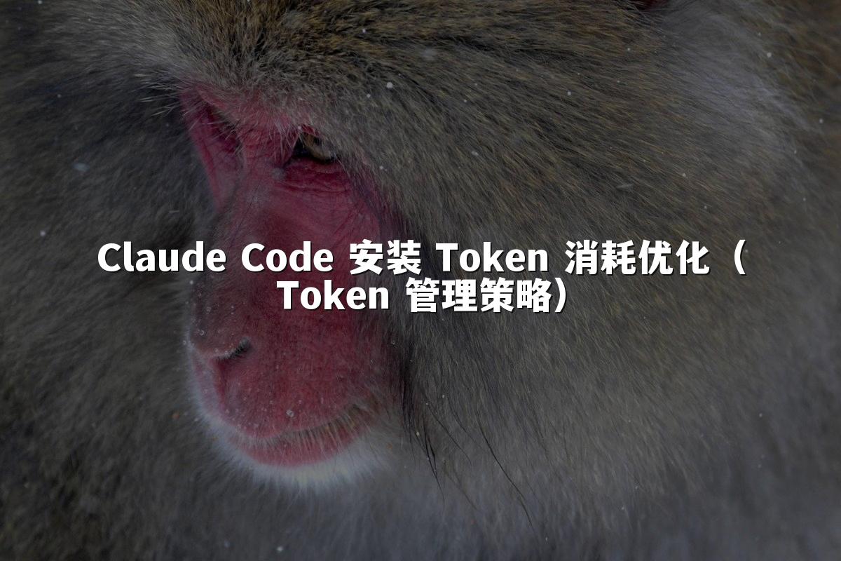 Claude Code 安装 Token 消耗优化(Token 管理策略)