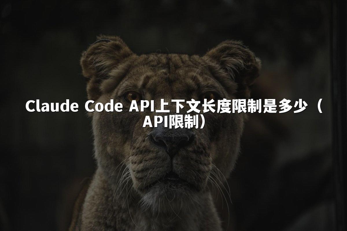 Claude Code API上下文长度限制是多少（API限制）
