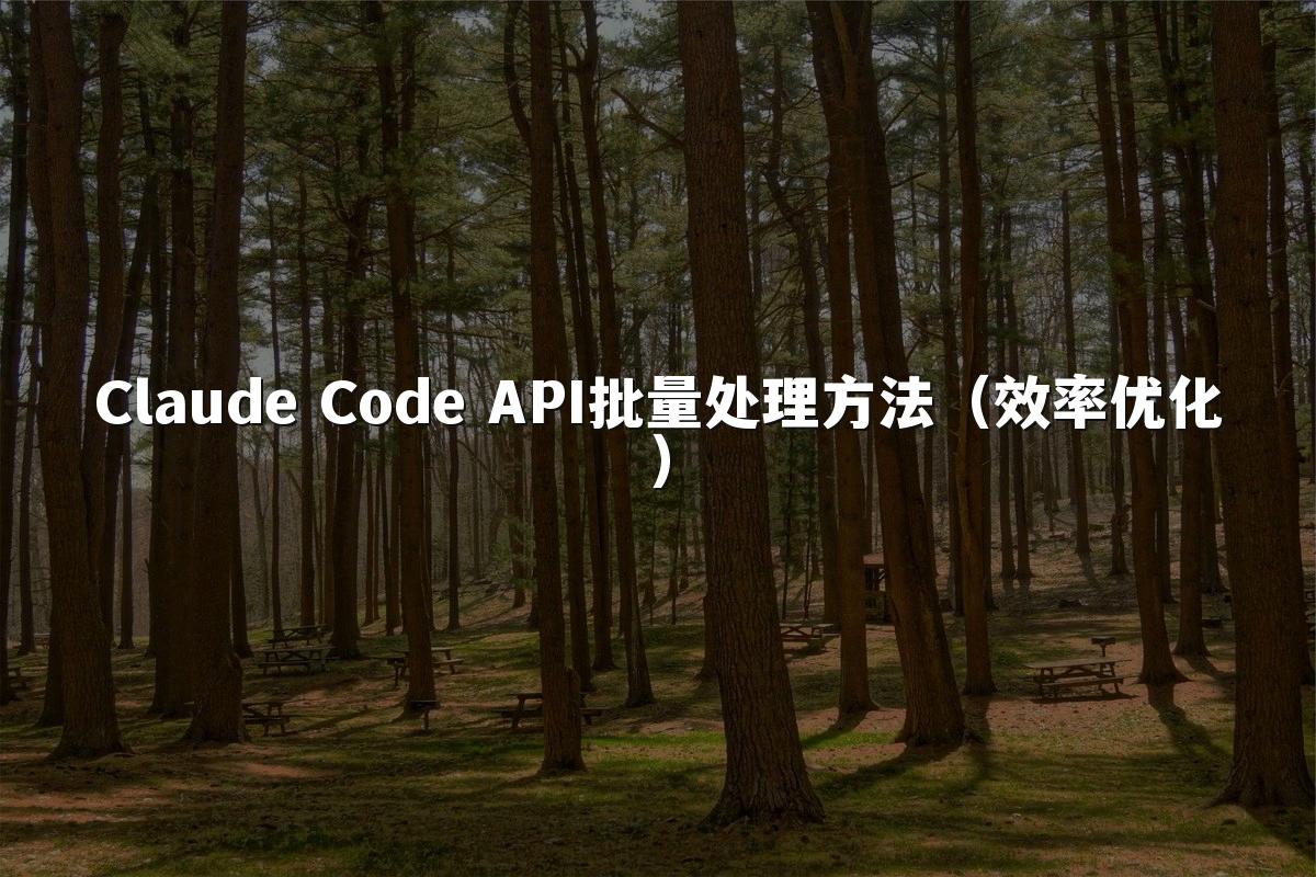 Claude Code API批量处理方法(效率优化)