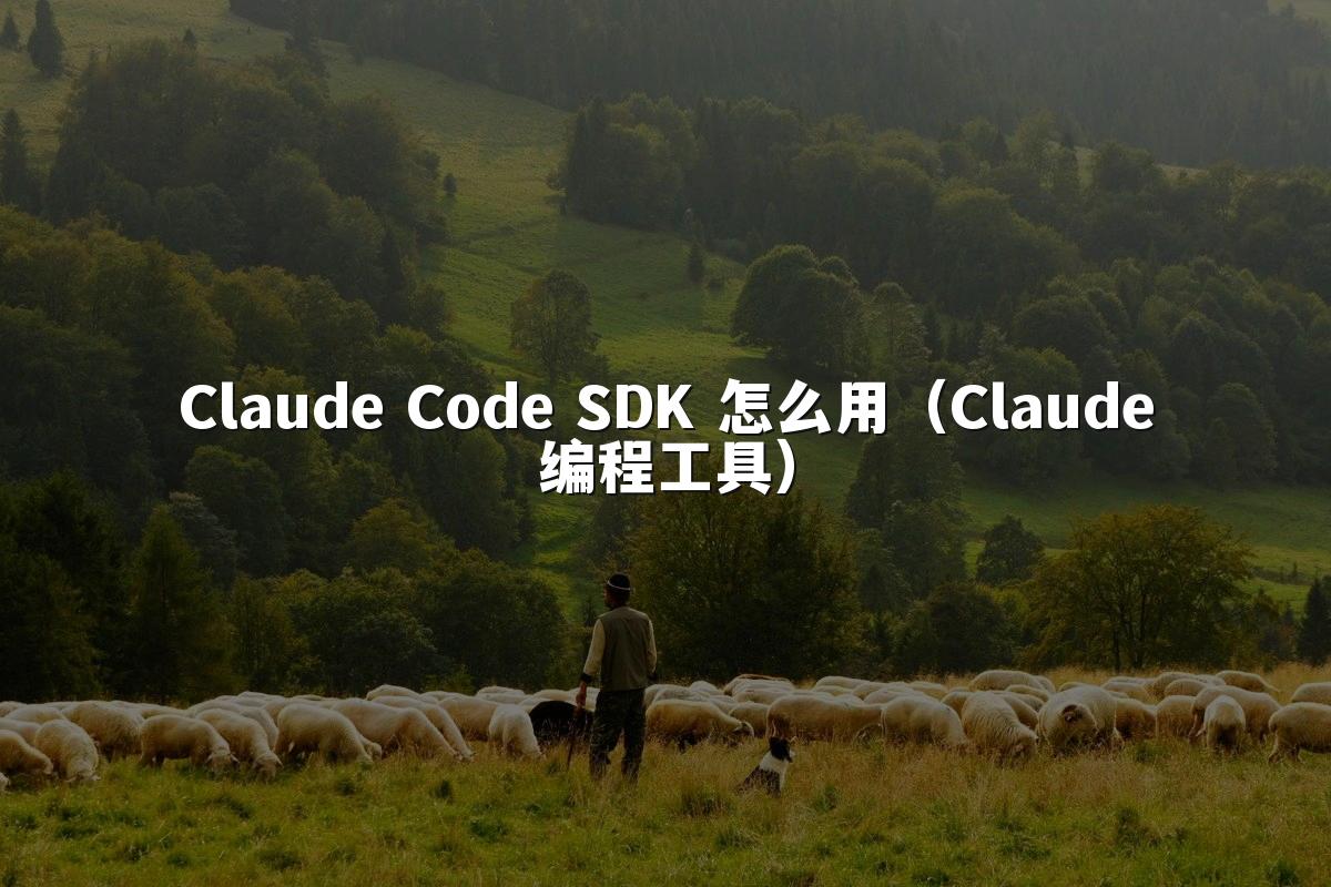 Claude Code SDK 怎么用（Claude编程工具）