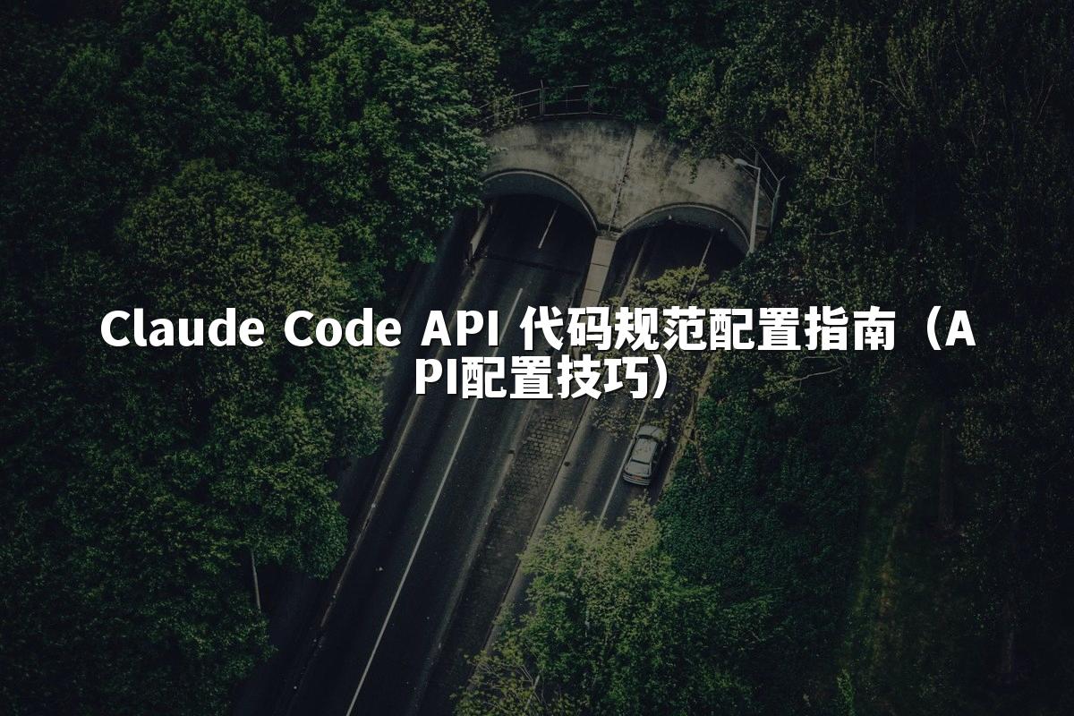 Claude Code API 代码规范配置指南（API配置技巧）