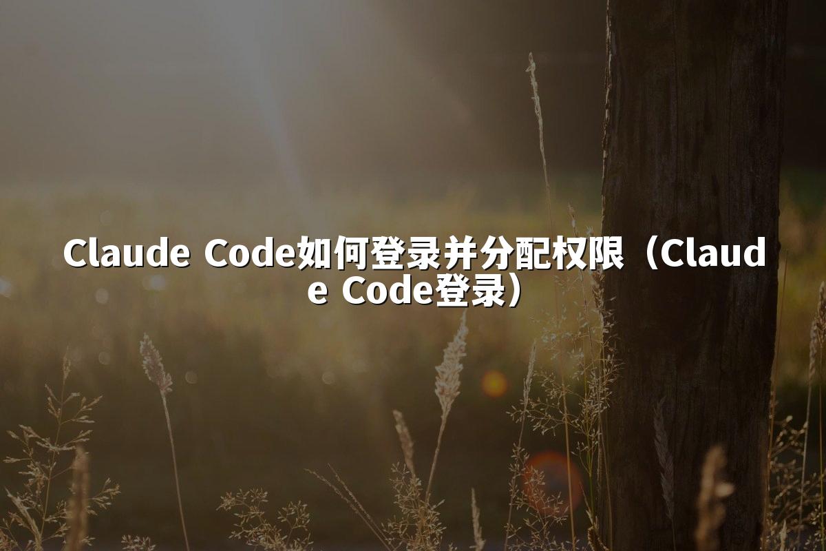 Claude Code如何登录并分配权限(Claude Code登录)