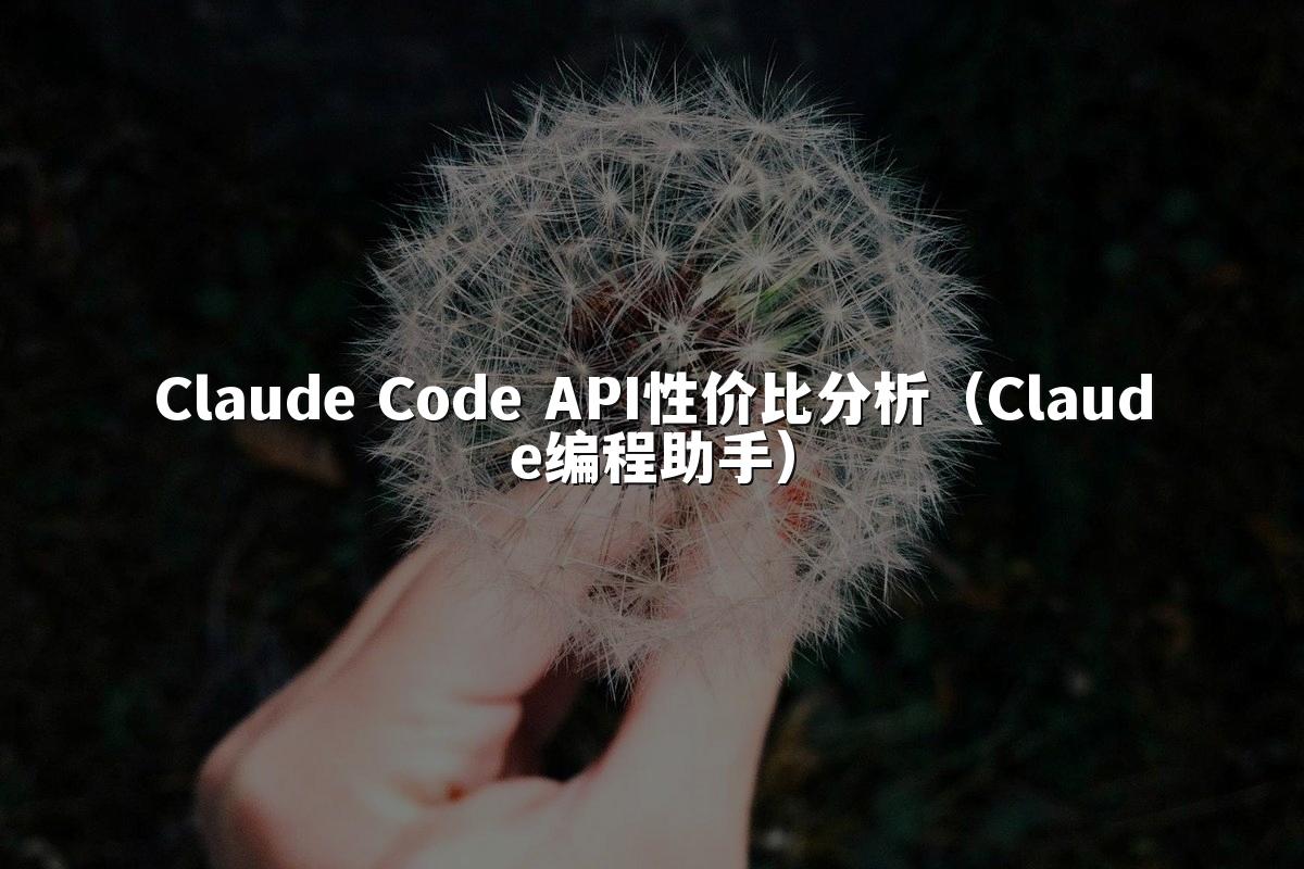 Claude Code API性价比分析(Claude编程助手)