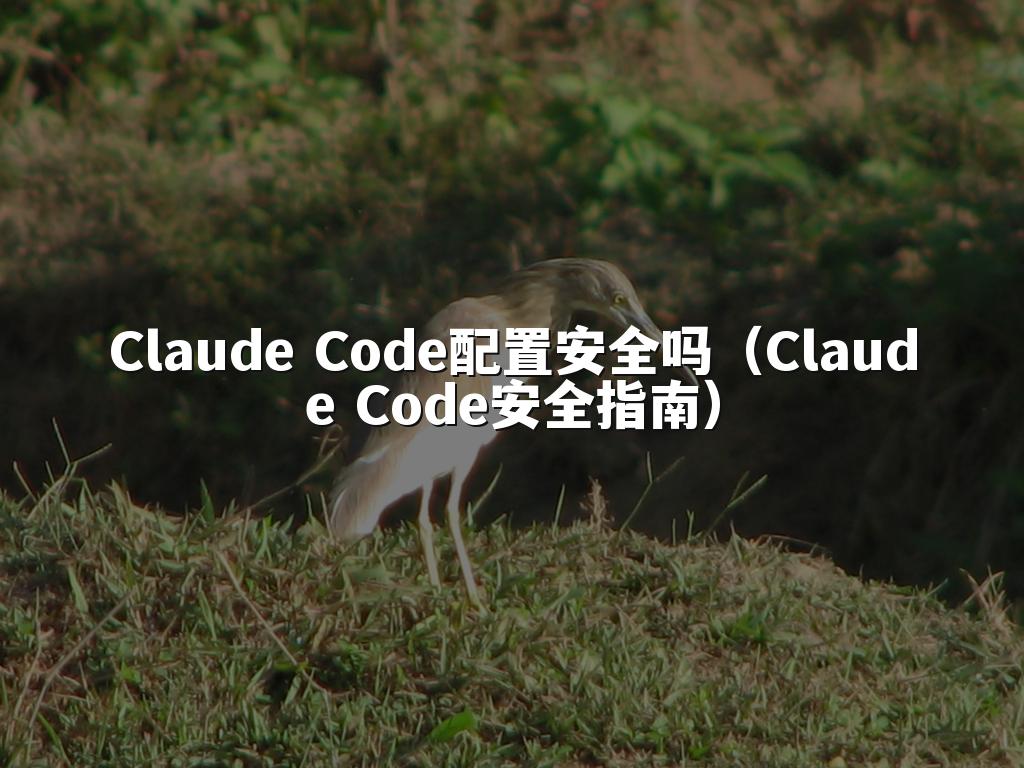 Claude Code配置安全吗(Claude Code安全指南)