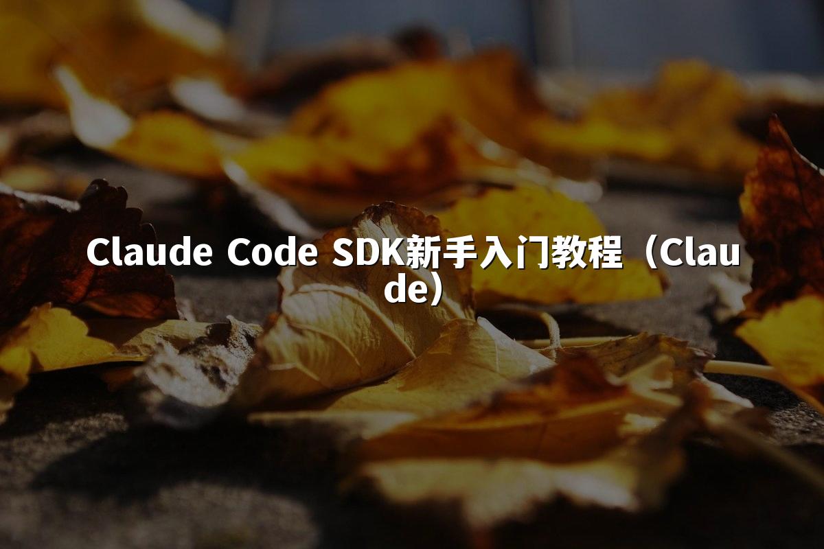 Claude Code SDK新手入门教程(Claude)