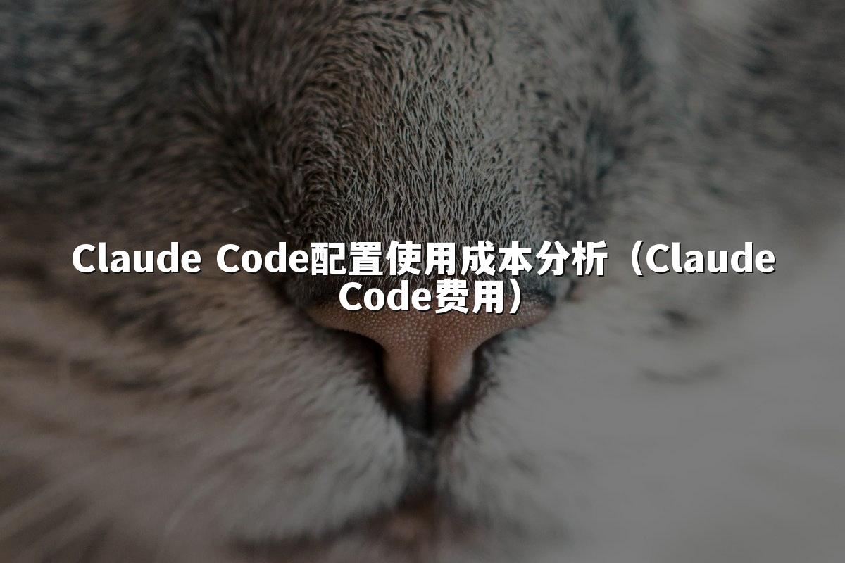 Claude Code配置使用成本分析（Claude Code费用）