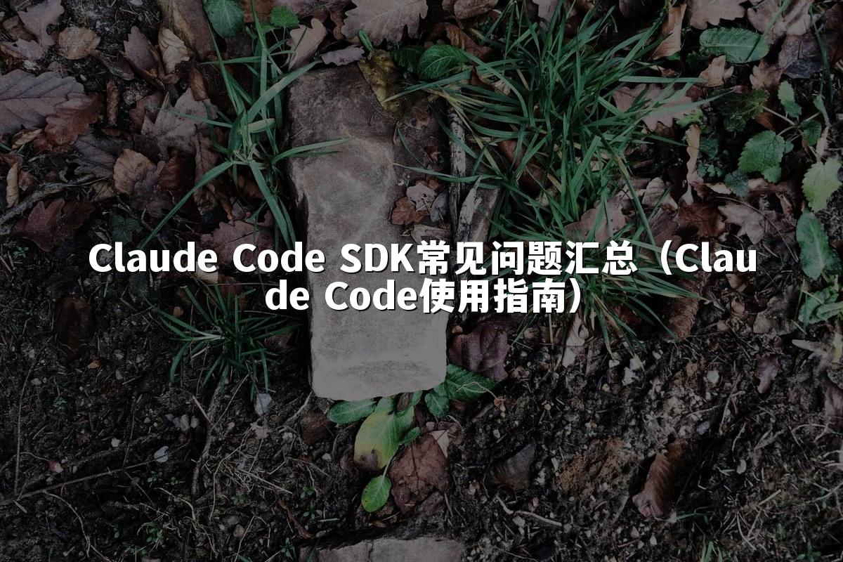 Claude Code SDK常见问题汇总（Claude Code使用指南）