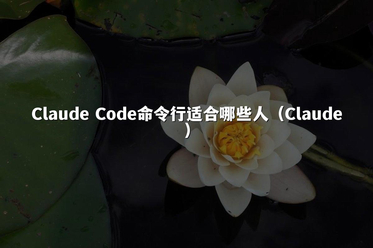Claude Code命令行适合哪些人（Claude）