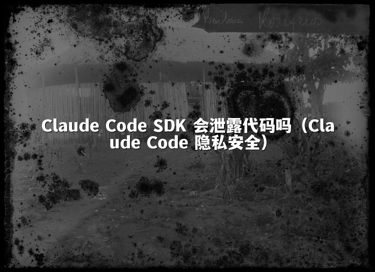 Claude Code SDK 会泄露代码吗(Claude Code 隐私安全)