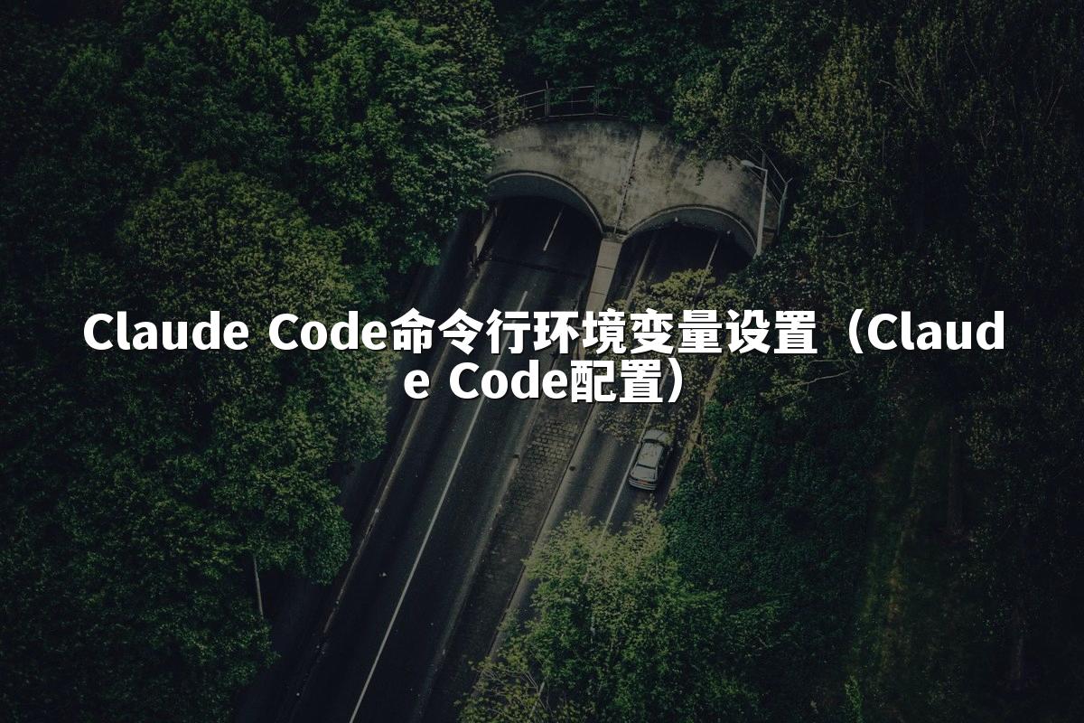 Claude Code命令行环境变量设置（Claude Code配置）