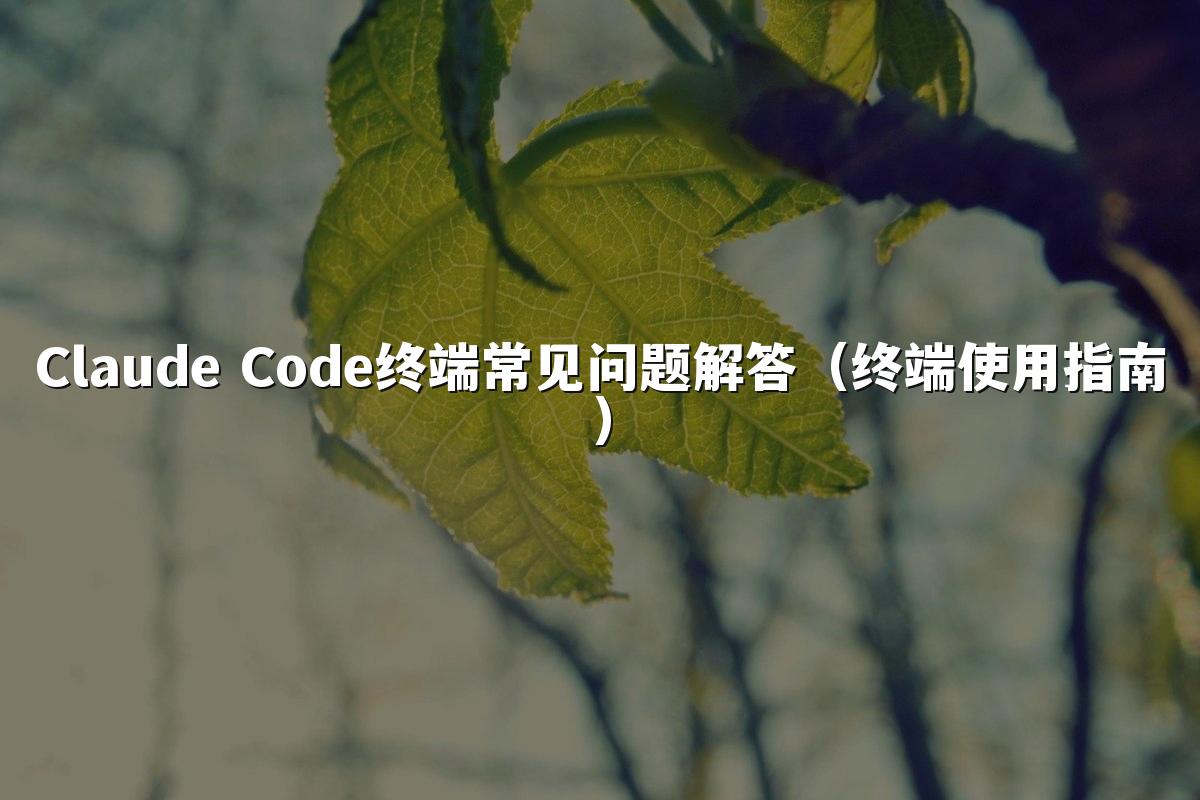Claude Code终端常见问题解答（终端使用指南）