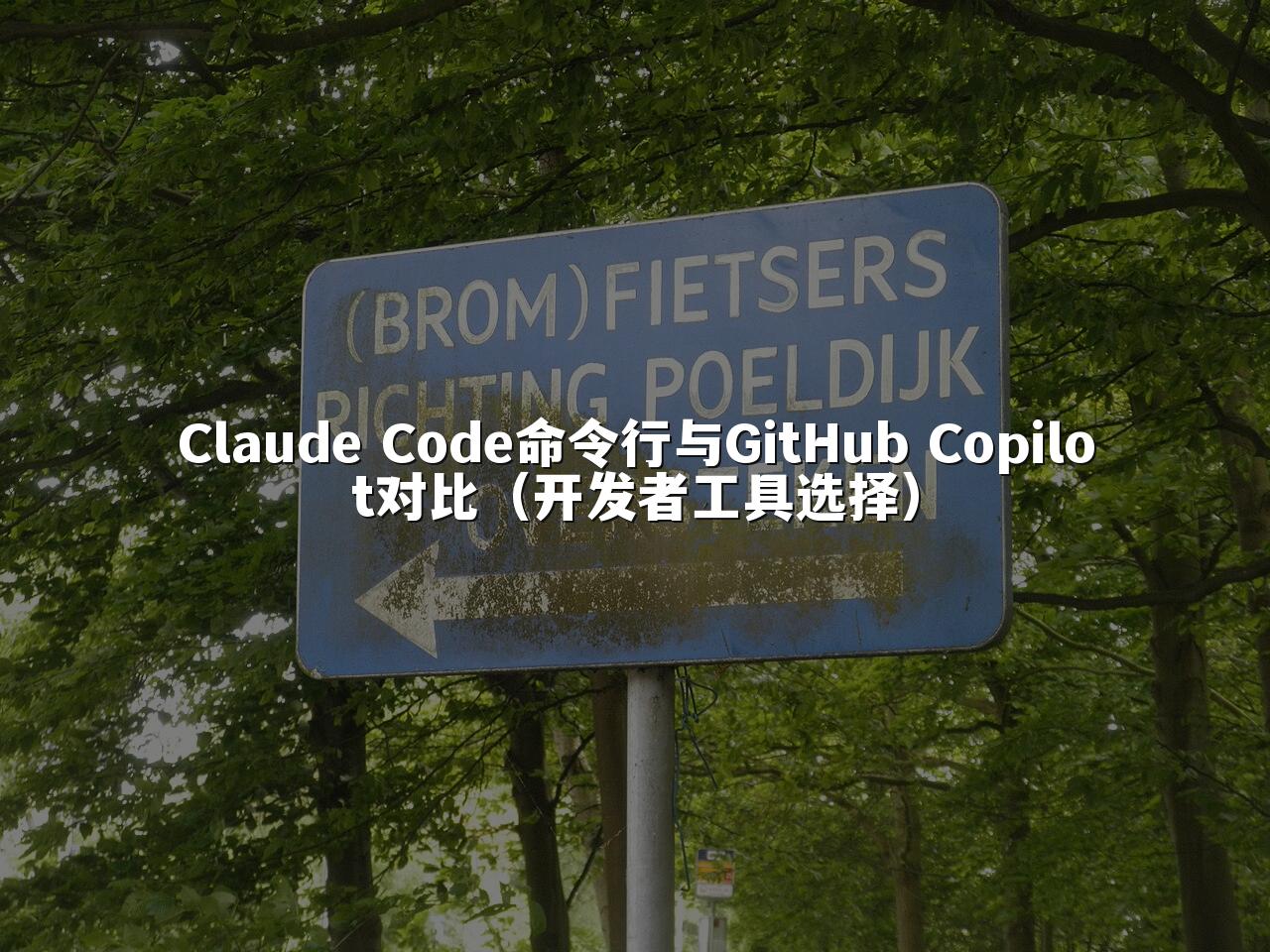 Claude Code命令行与GitHub Copilot对比(开发者工具选择)