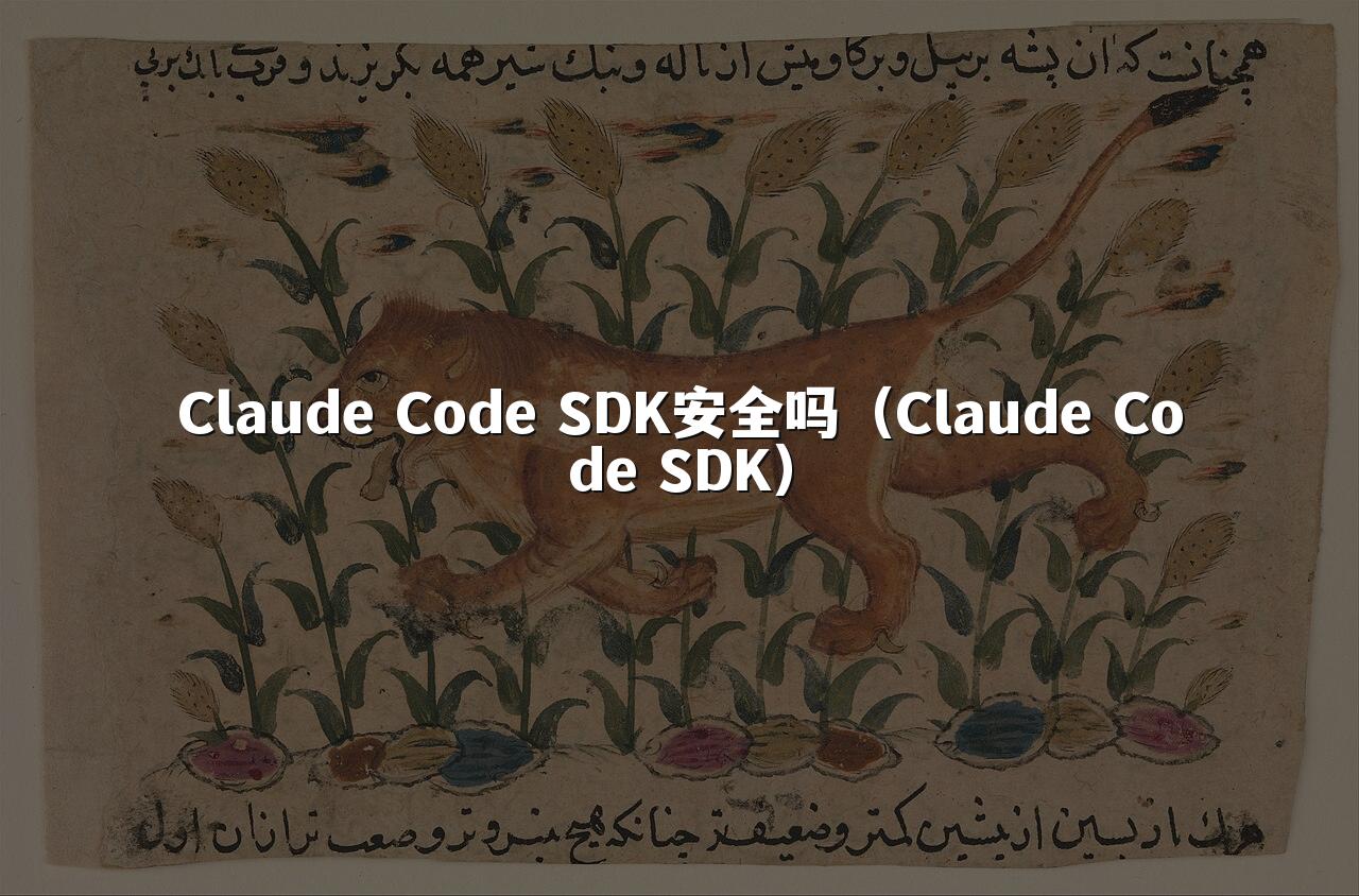 Claude Code SDK安全吗(Claude Code SDK)