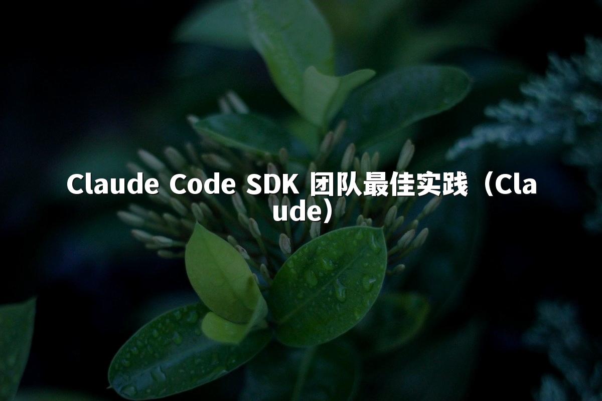 Claude Code SDK 团队最佳实践(Claude)