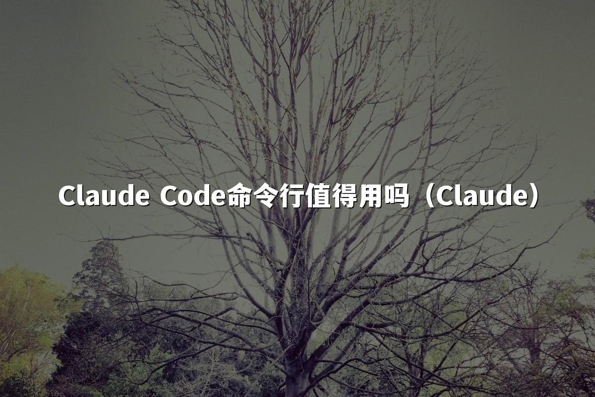 Claude Code命令行值得用吗（Claude）