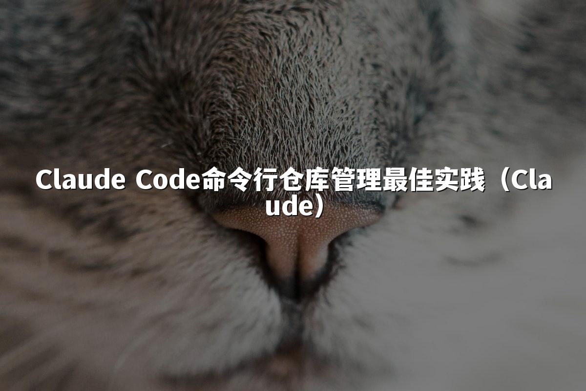 Claude Code命令行仓库管理最佳实践（Claude）