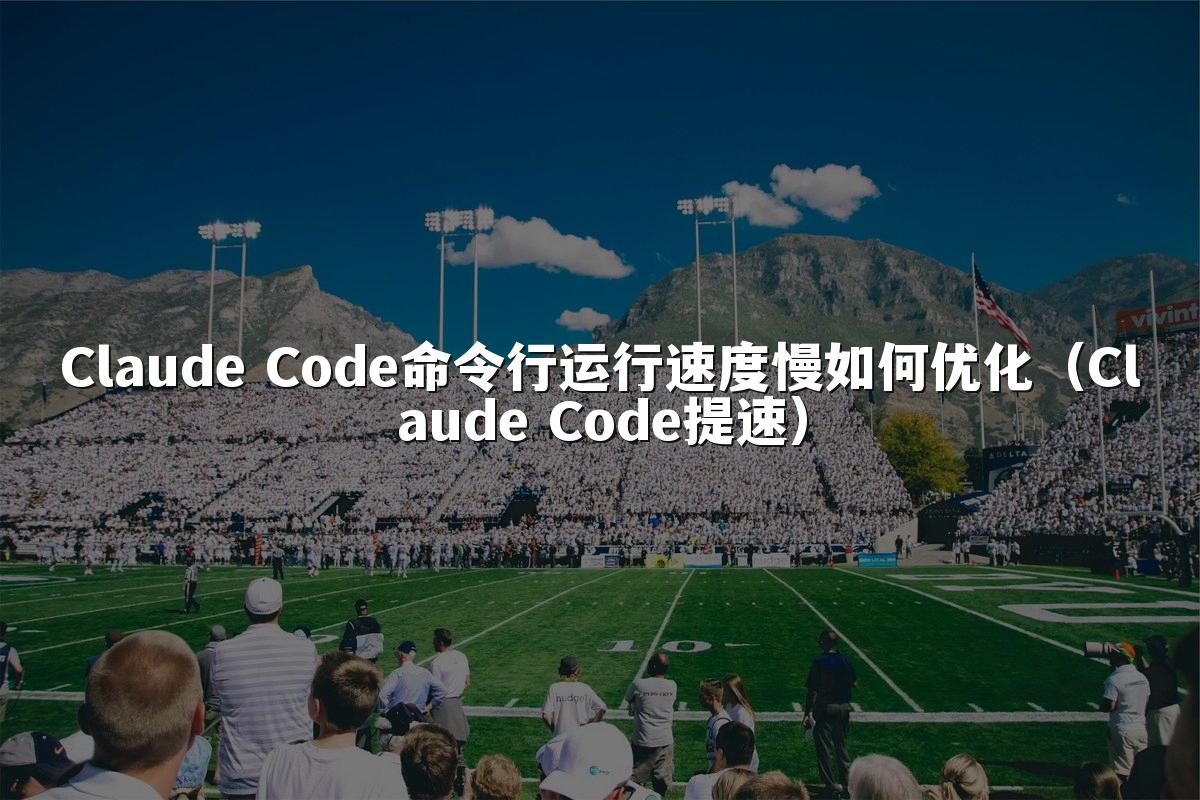 Claude Code命令行运行速度慢如何优化（Claude Code提速）