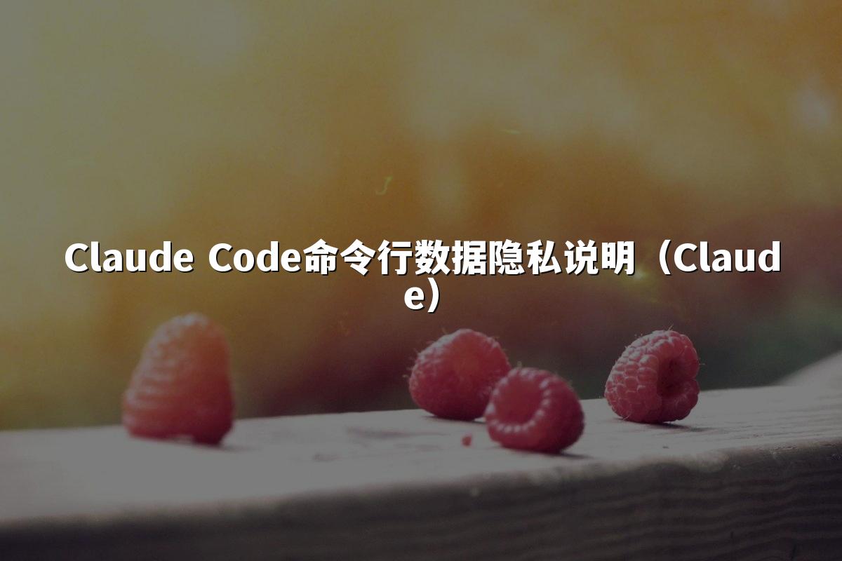 Claude Code命令行数据隐私说明（Claude）