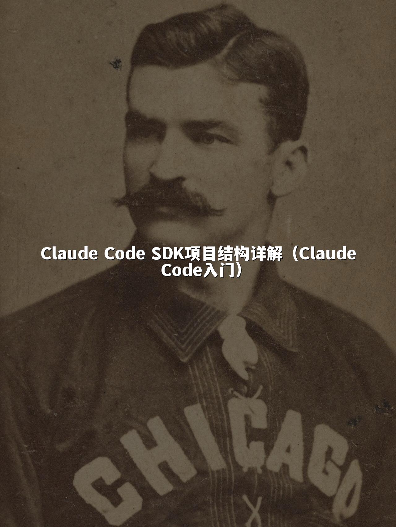 Claude Code SDK项目结构详解(Claude Code入门)
