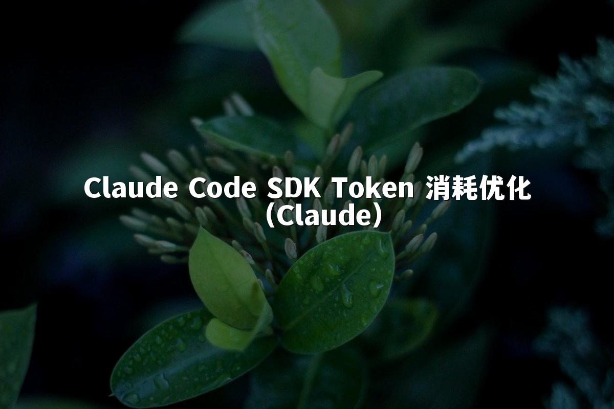 Claude Code SDK Token 消耗优化（Claude）