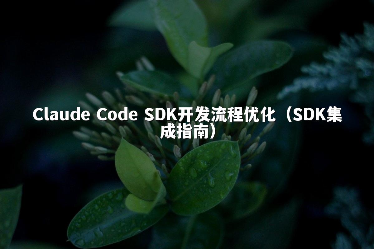Claude Code SDK开发流程优化(SDK集成指南)